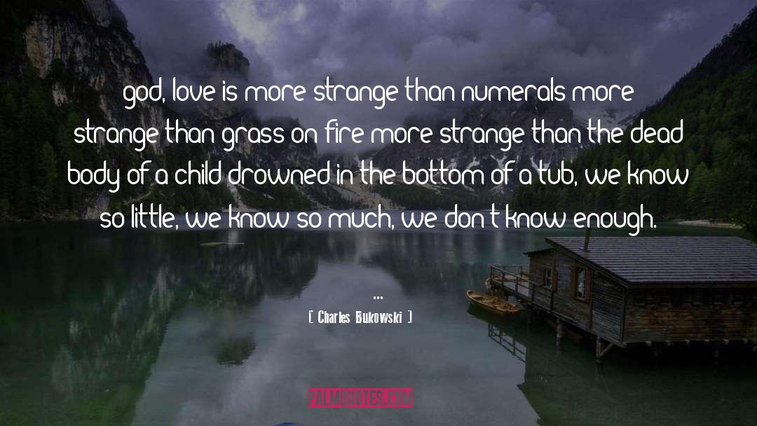 Know So Little quotes by Charles Bukowski