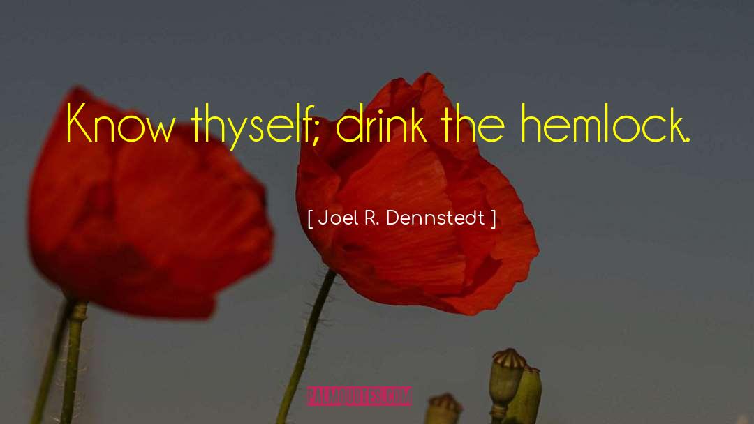 Know Thyself quotes by Joel R. Dennstedt