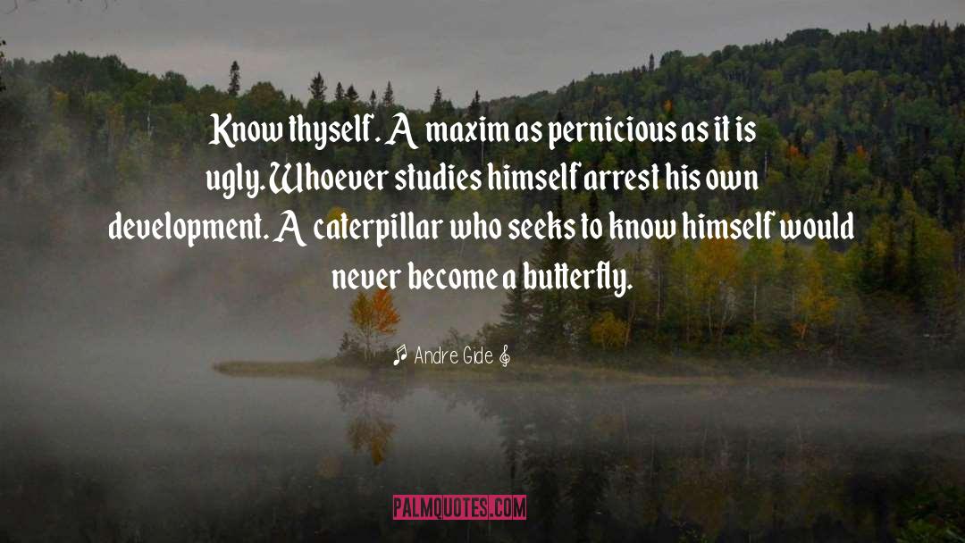 Know Thyself quotes by Andre Gide