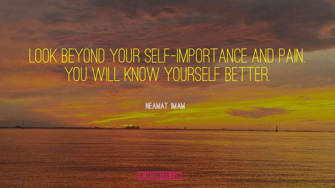 Know Yourself Better quotes by Neamat Imam
