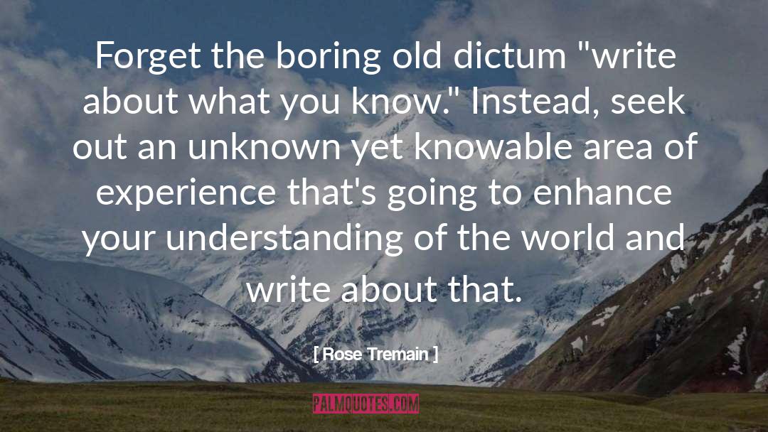 Knowable quotes by Rose Tremain