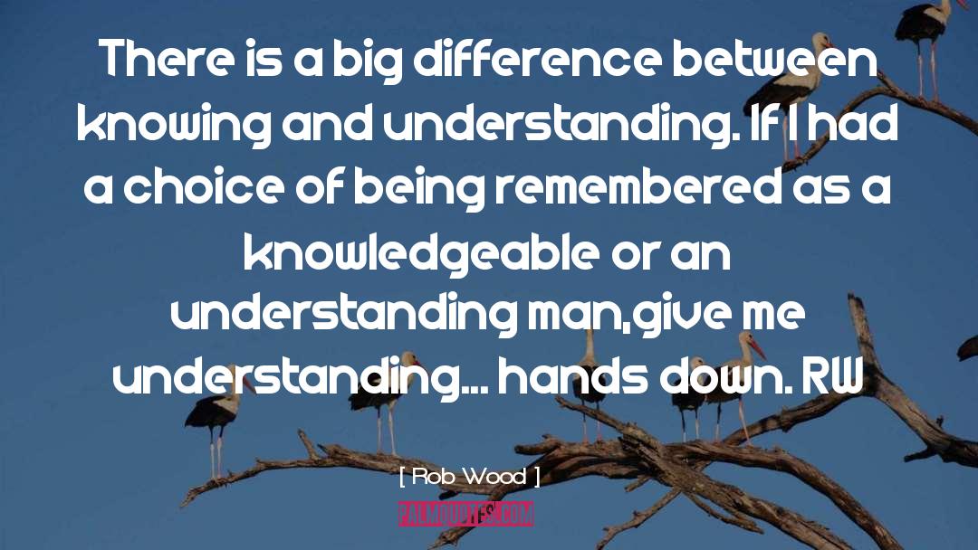 Knowing And Understanding quotes by Rob Wood