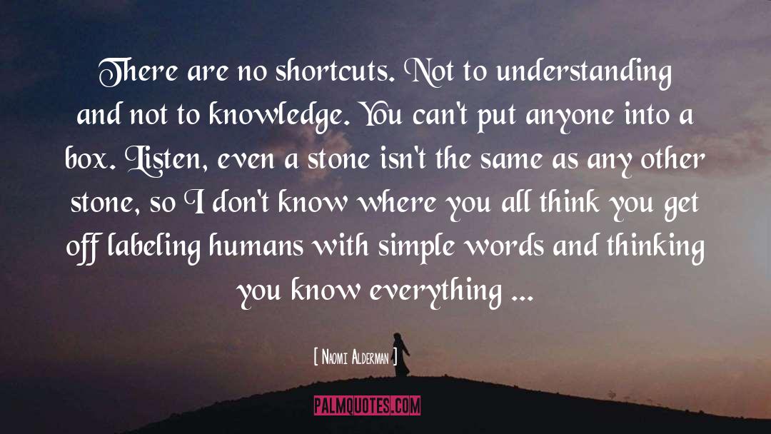Knowing And Understanding quotes by Naomi Alderman