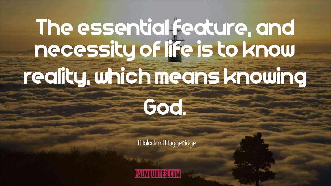 Knowing God quotes by Malcolm Muggeridge