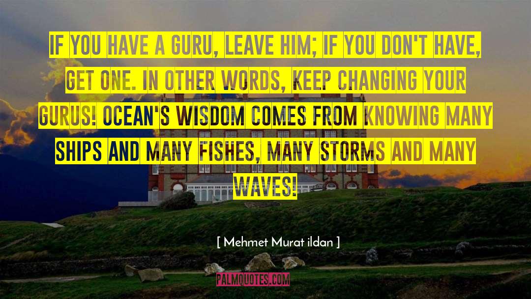 Knowing More quotes by Mehmet Murat Ildan