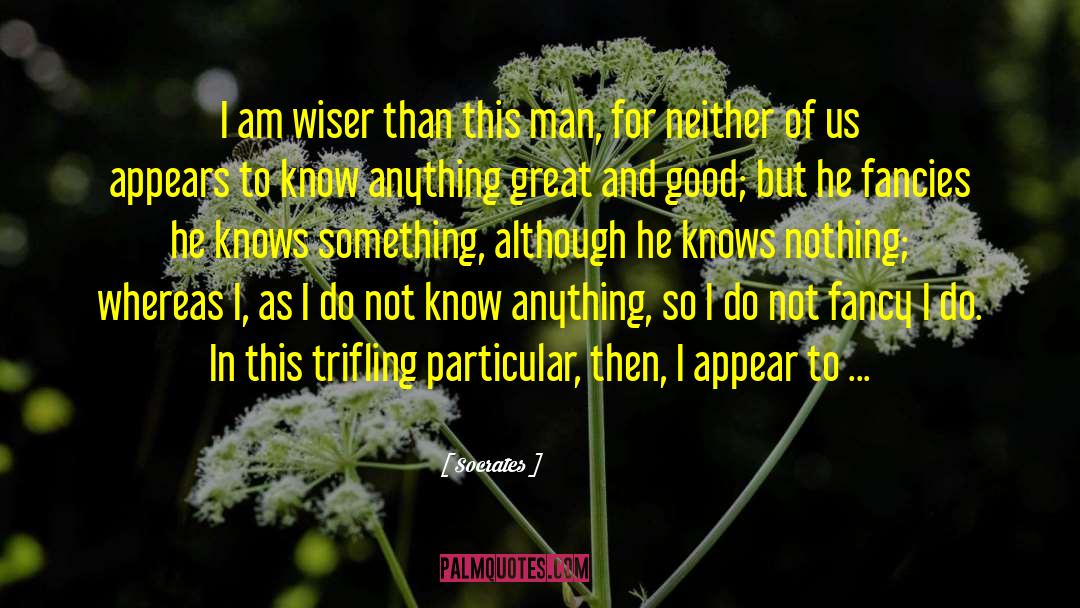 Knowing Nothing quotes by Socrates