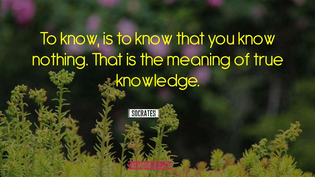 Knowing Nothing quotes by Socrates