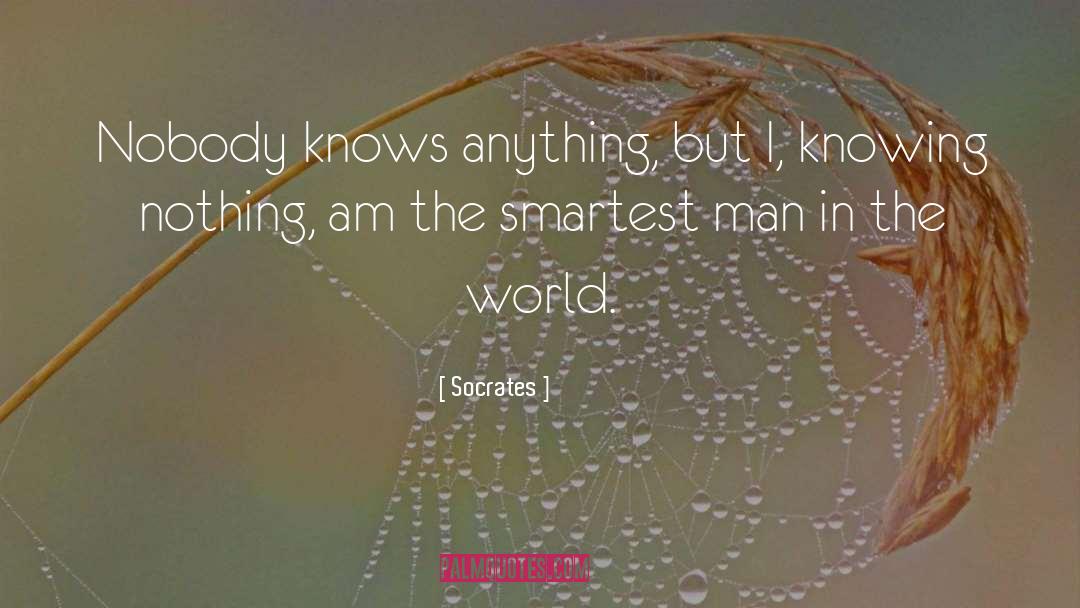 Knowing Nothing quotes by Socrates