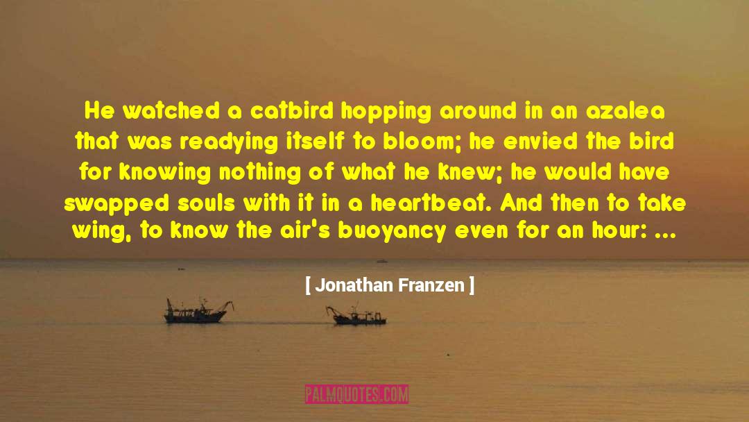 Knowing Nothing quotes by Jonathan Franzen