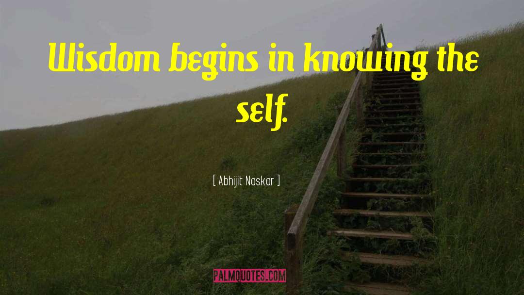 Knowing The Self quotes by Abhijit Naskar