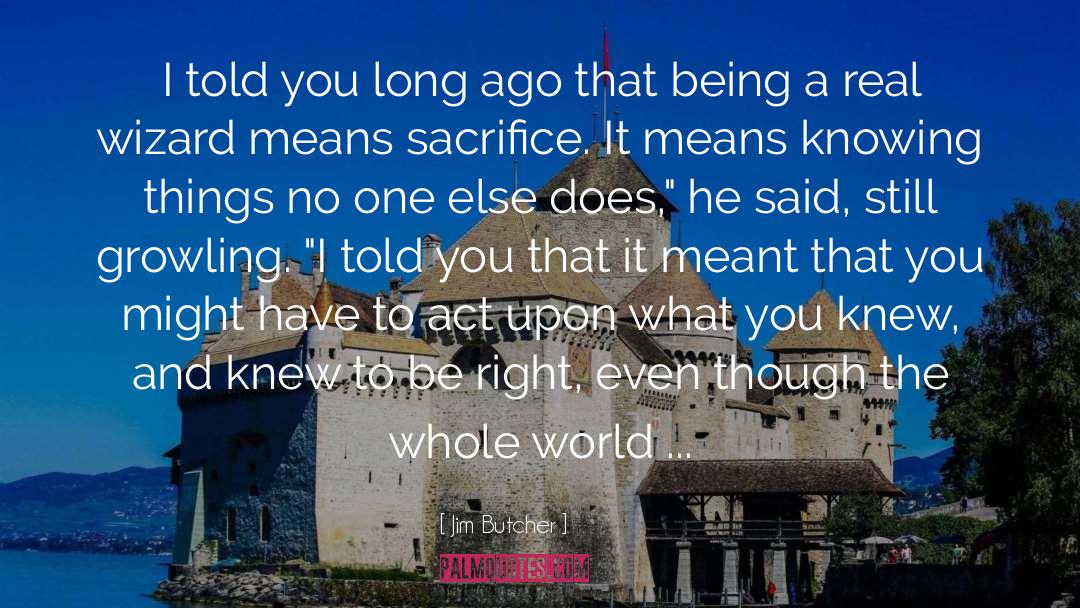 Knowing Things quotes by Jim Butcher