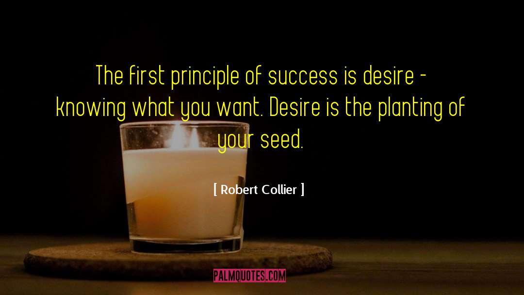 Knowing What You Want quotes by Robert Collier