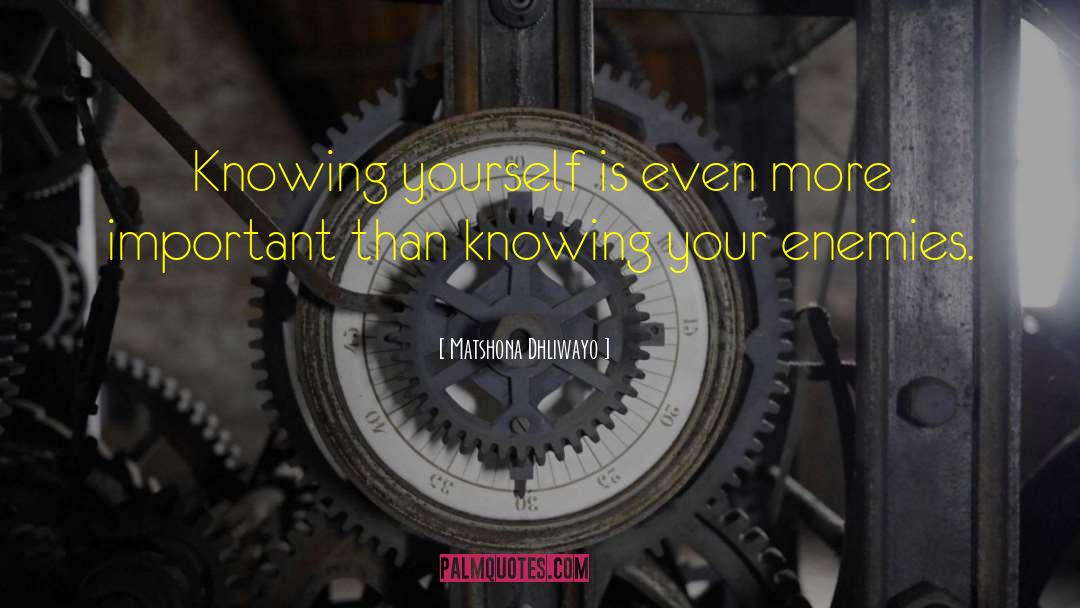 Knowing Yourself quotes by Matshona Dhliwayo