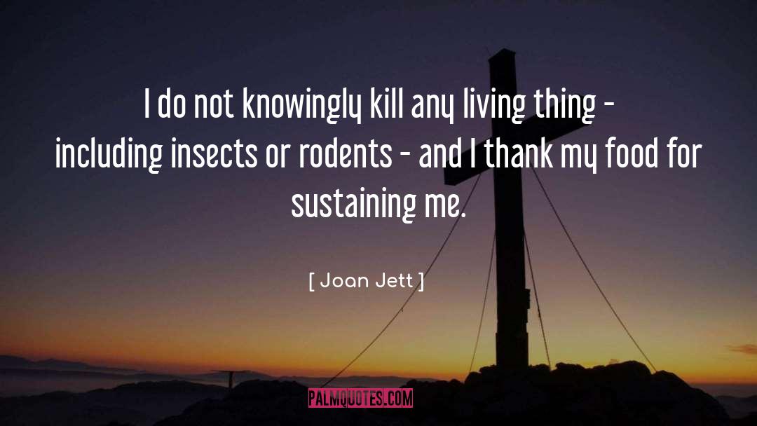 Knowingly quotes by Joan Jett