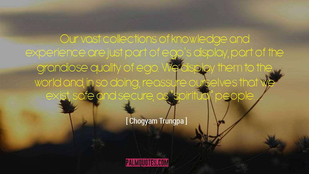 Knowledge And Experience quotes by Chogyam Trungpa