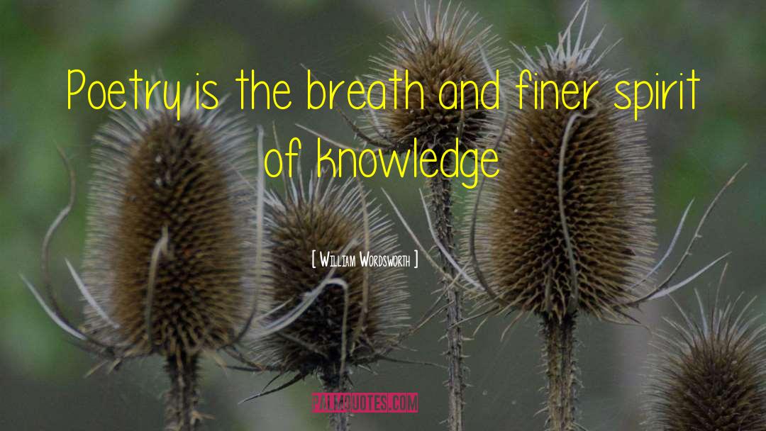 Knowledge And Information quotes by William Wordsworth