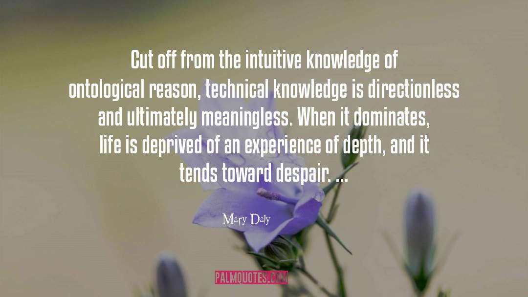 Knowledge And Learning quotes by Mary Daly