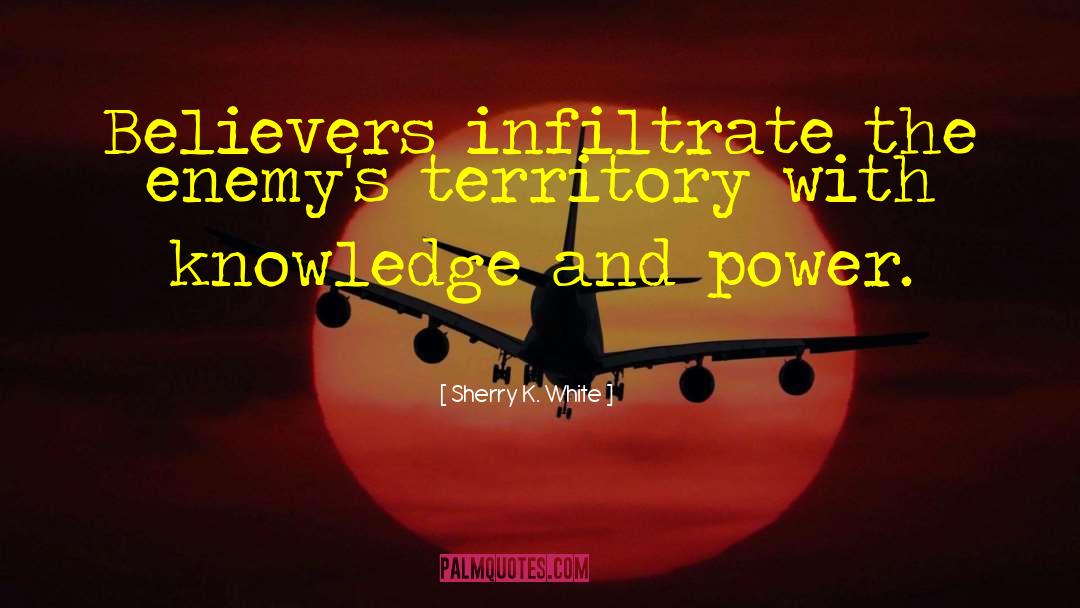 Knowledge And Power quotes by Sherry K. White