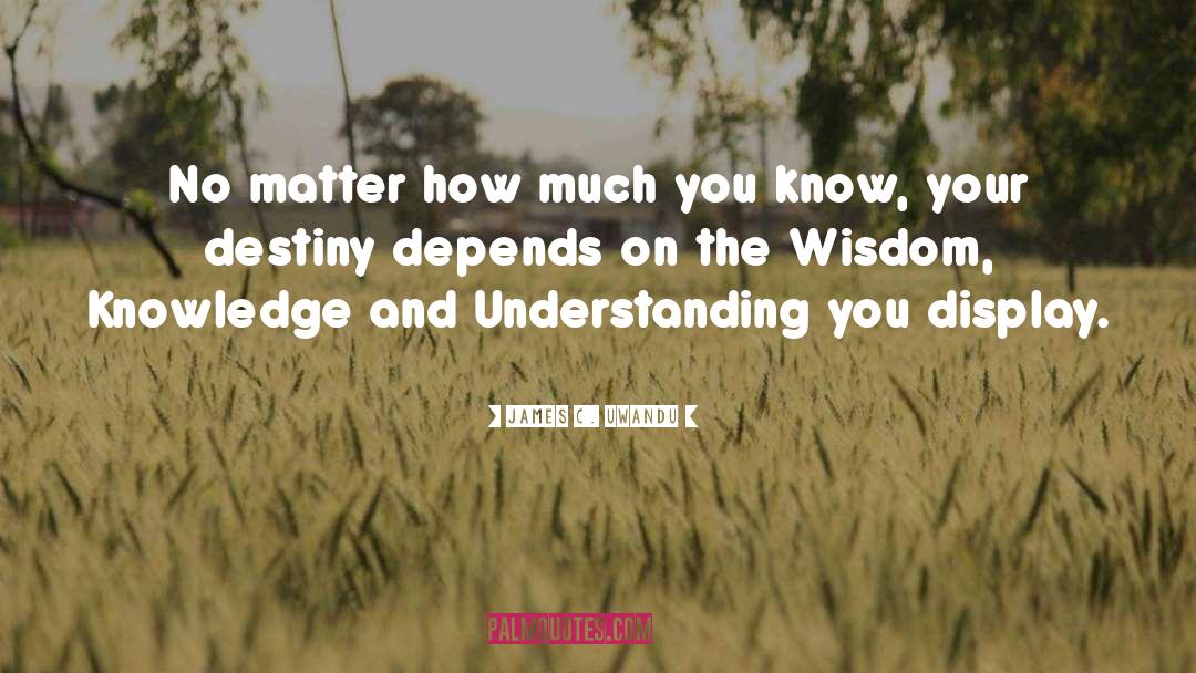 Knowledge And Understanding quotes by James C. Uwandu