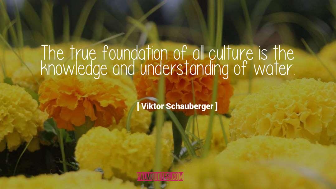 Knowledge And Understanding quotes by Viktor Schauberger