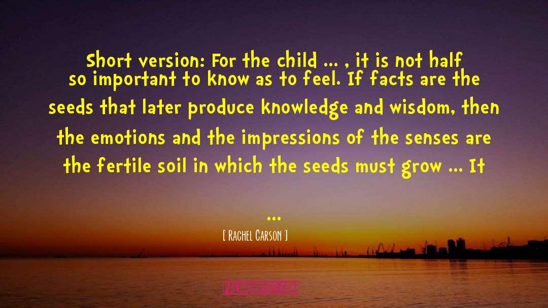 Knowledge And Wisdom quotes by Rachel Carson