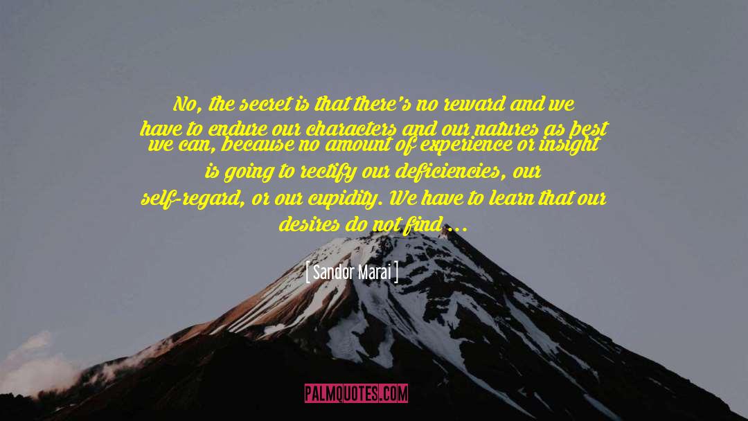 Knowledge Experience quotes by Sandor Marai
