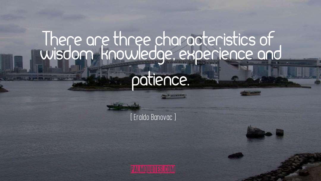 Knowledge Experience quotes by Eraldo Banovac