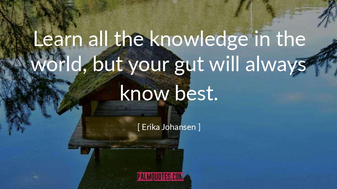 Knowledge In The World quotes by Erika Johansen