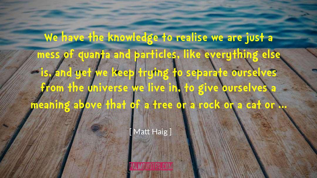 Knowledge Is Borrowed quotes by Matt Haig