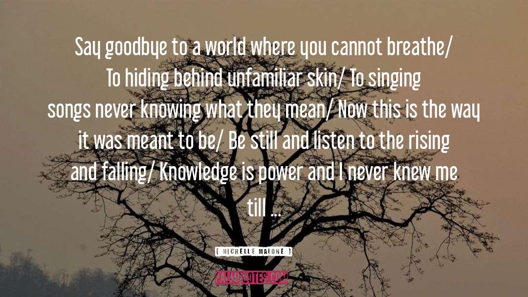Knowledge Is Power quotes by Michelle Malone