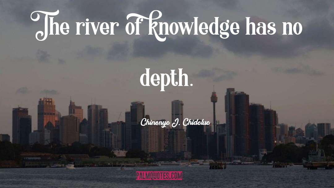 Knowledge Is Wealth quotes by Chinonye J. Chidolue