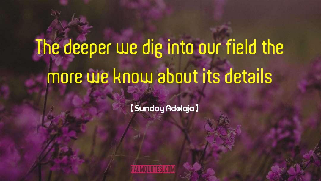 Knowledge Purpose quotes by Sunday Adelaja