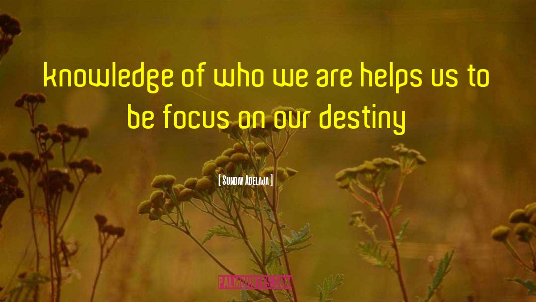 Knowledge Purpose quotes by Sunday Adelaja