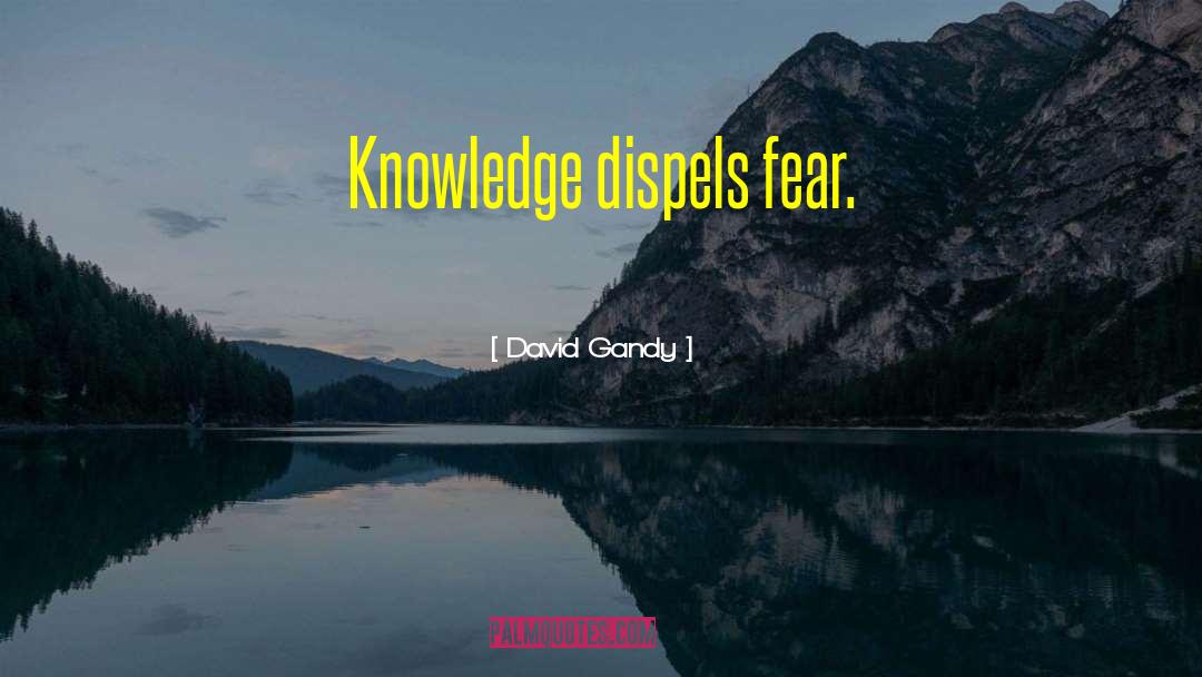 Knowledge Wisdom quotes by David Gandy