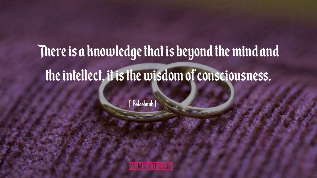 Knowledge Wisdom quotes by Belsebuub