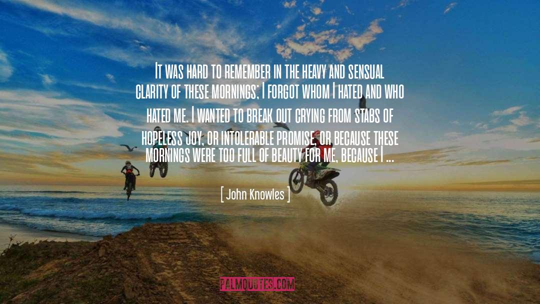 Knowles quotes by John Knowles