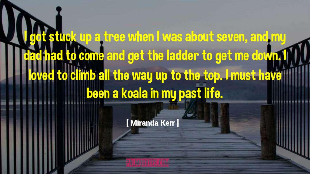 Koala quotes by Miranda Kerr