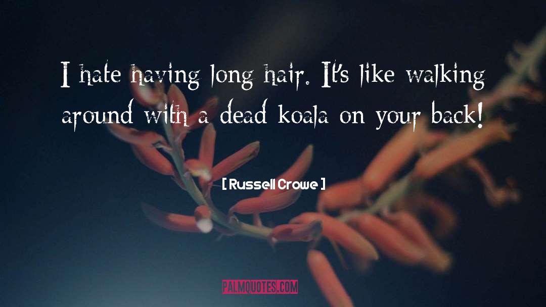 Koala quotes by Russell Crowe