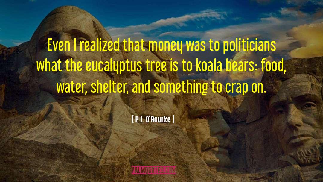 Koala quotes by P. J. O'Rourke