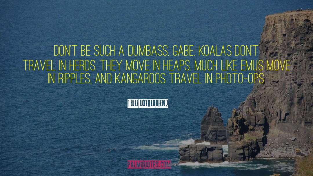 Koalas quotes by Elle Lothlorien