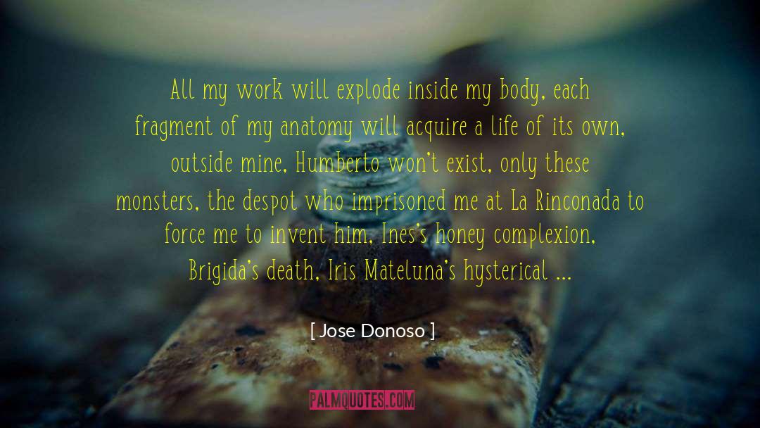 Komponen Peta quotes by Jose Donoso