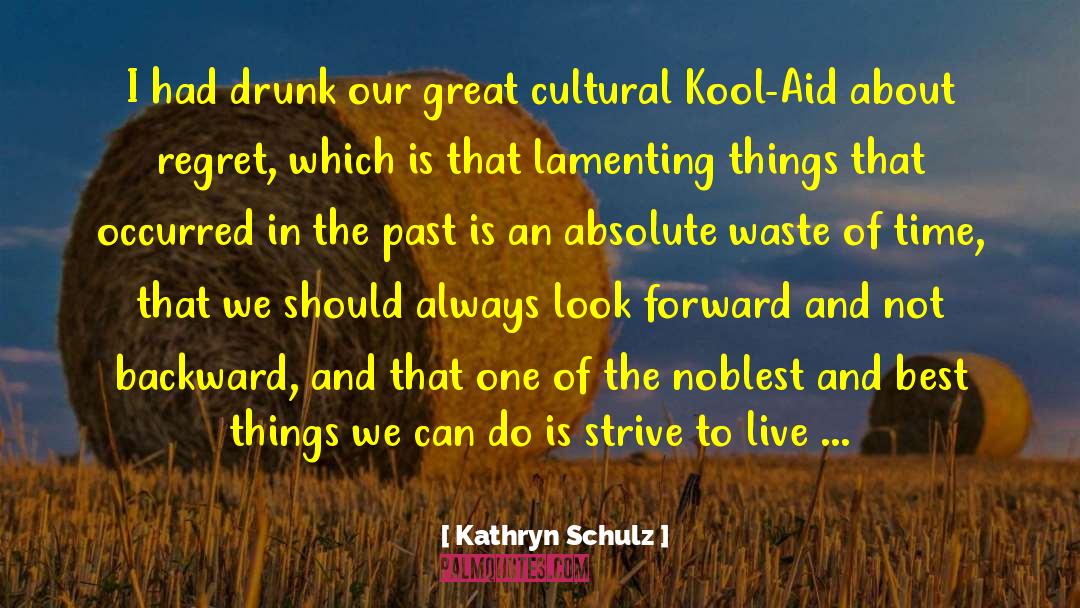 Kool Aid quotes by Kathryn Schulz