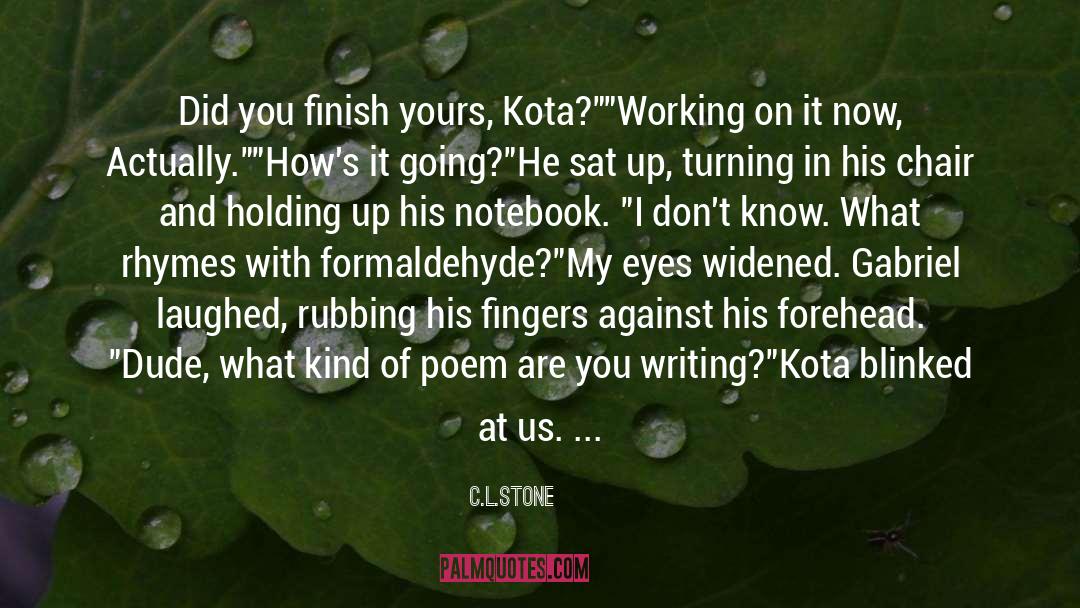Kota quotes by C.L.Stone