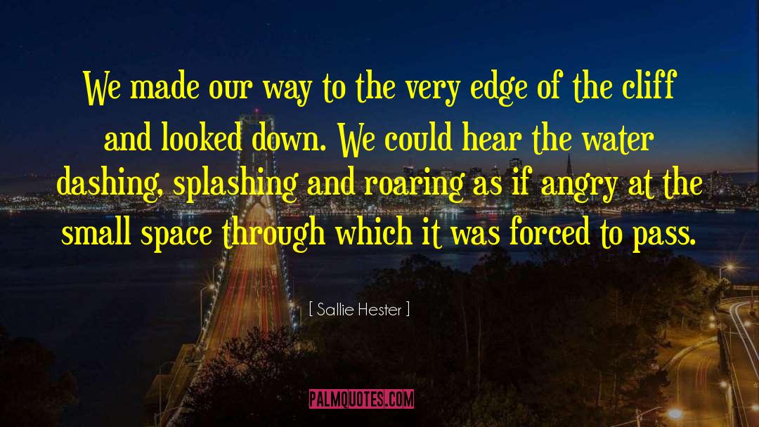 Koudelka Waterfall quotes by Sallie Hester