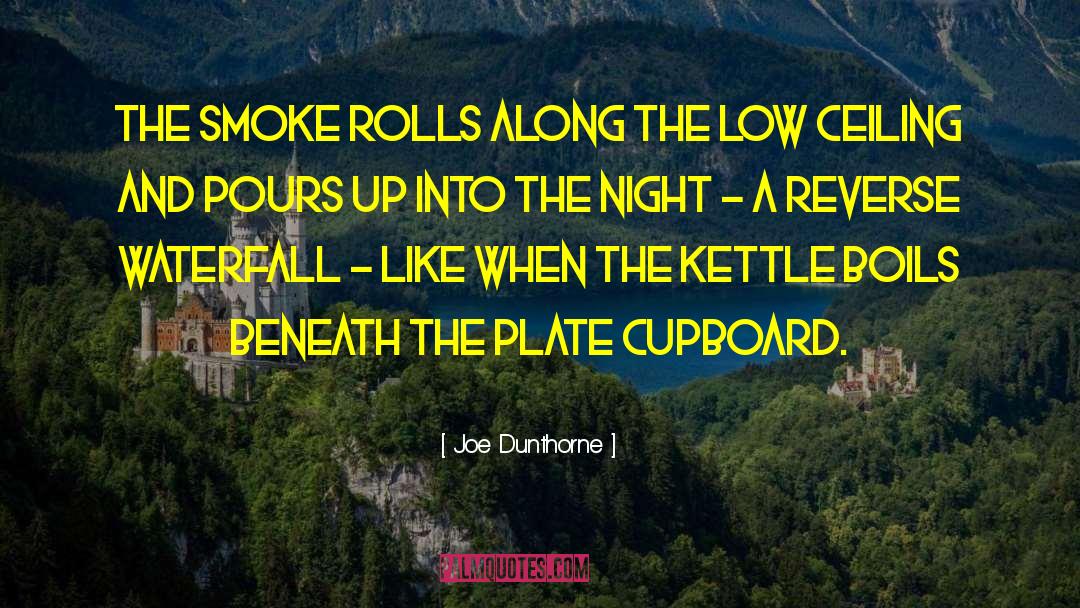 Koudelka Waterfall quotes by Joe Dunthorne