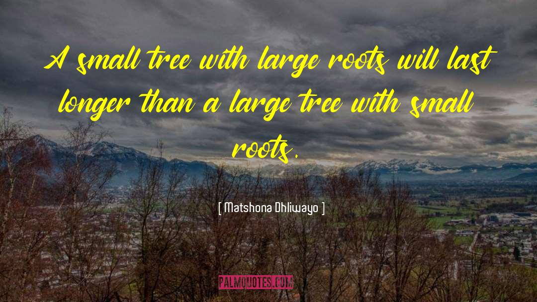 Kozicki Tree quotes by Matshona Dhliwayo