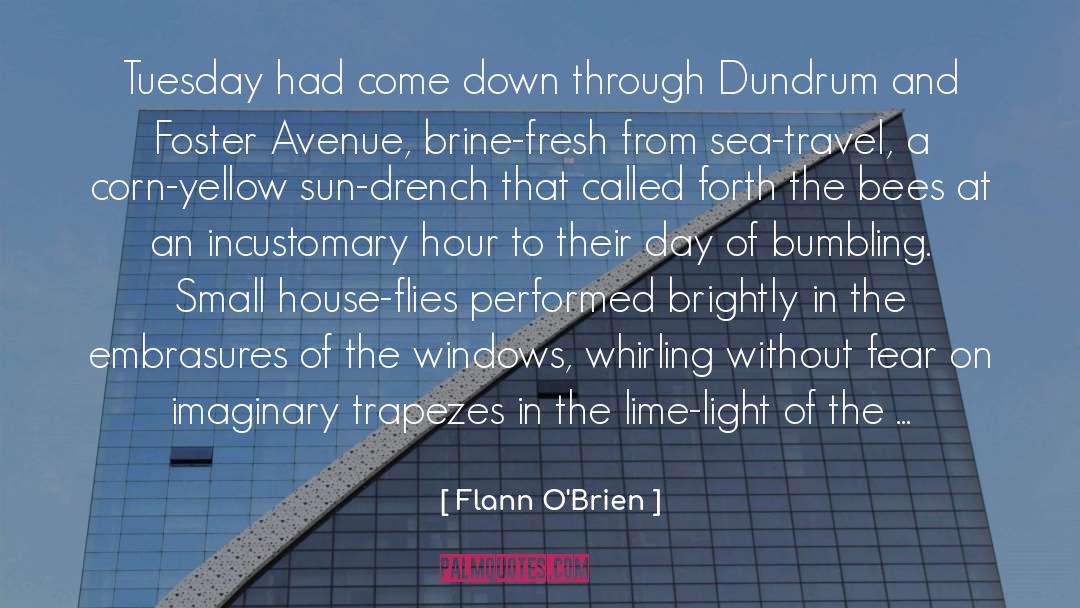 Krams Avenue quotes by Flann O'Brien