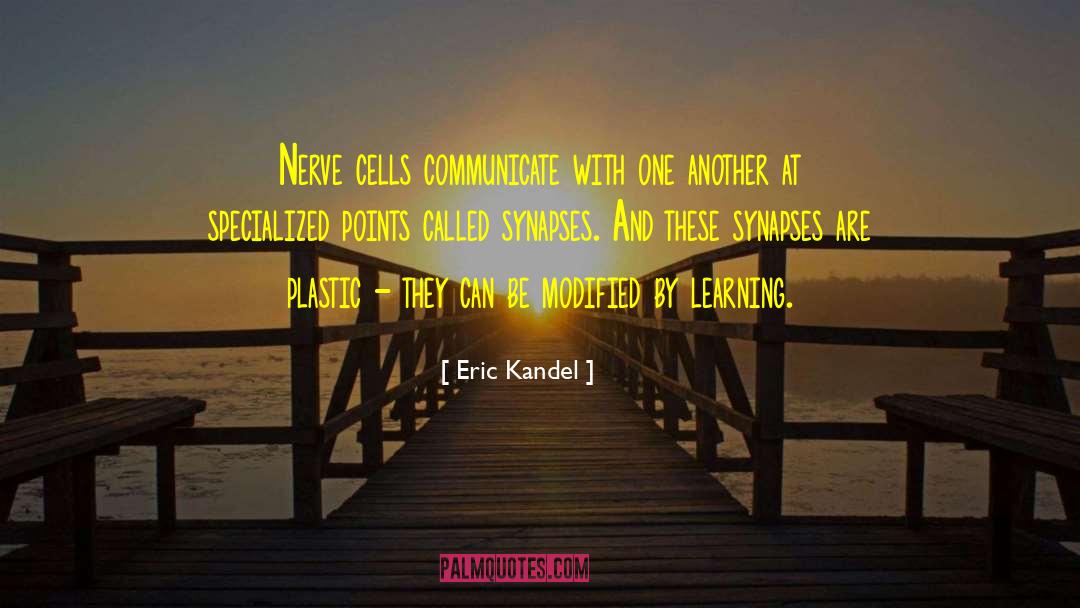 Krayenbuhl Nerve quotes by Eric Kandel