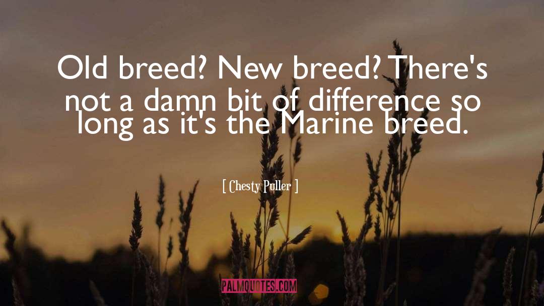 Krenzer Marine quotes by Chesty Puller