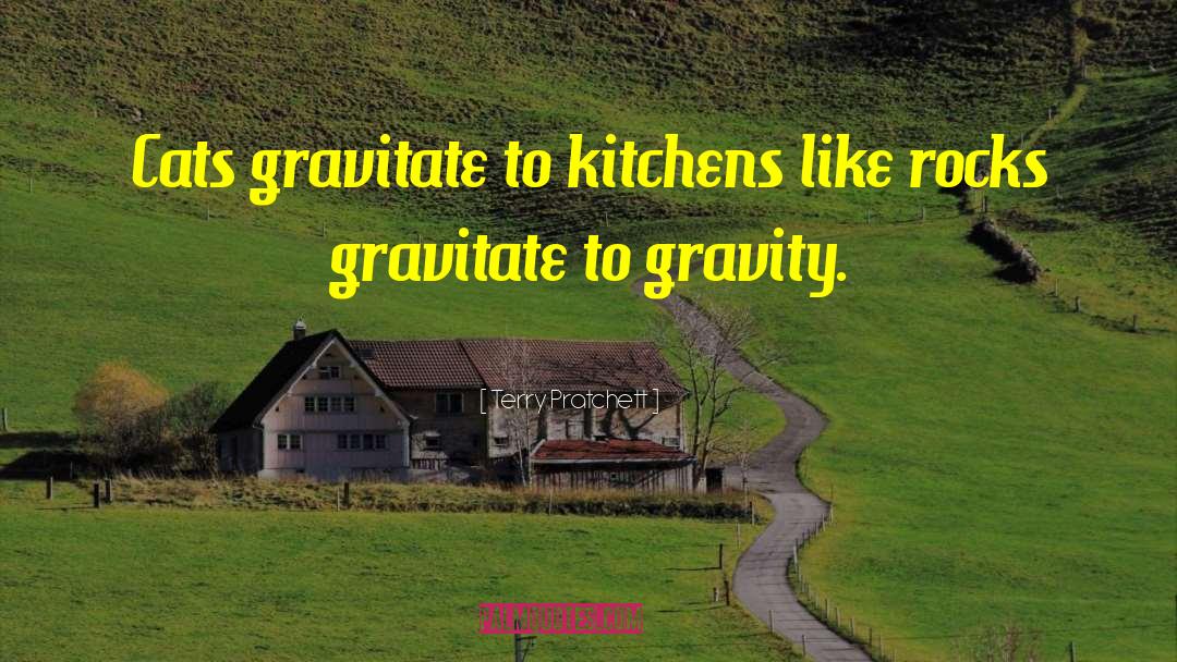 Krett Kitchens quotes by Terry Pratchett